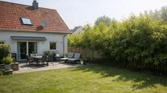 Japanischer Staudenknöterich im Garten: so erkennst du ihn und handelst richtig