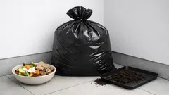 Kompost im Sack: so machst du aus Küchenresten Erde – auch ohne Garten